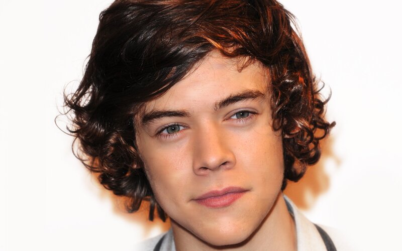 Harry Styles portrait