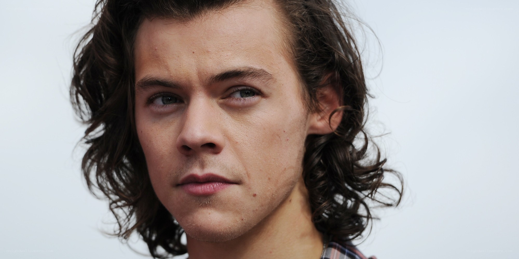 Harry Styles portrait