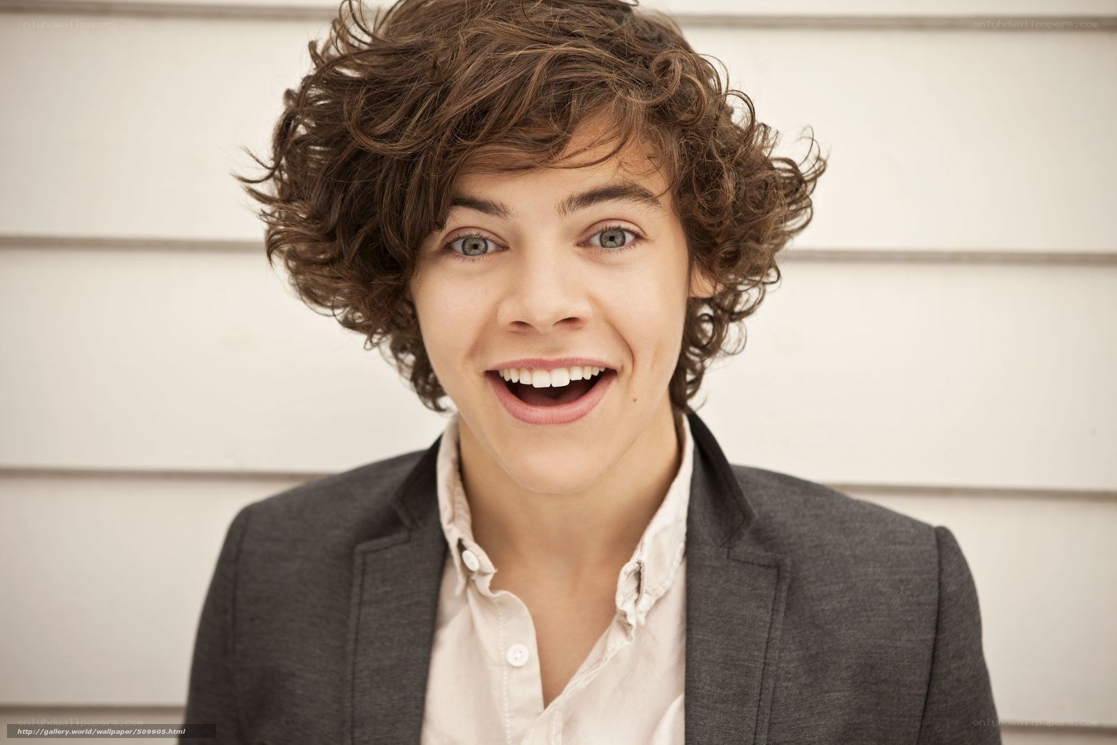 Harry Styles smiling portrait