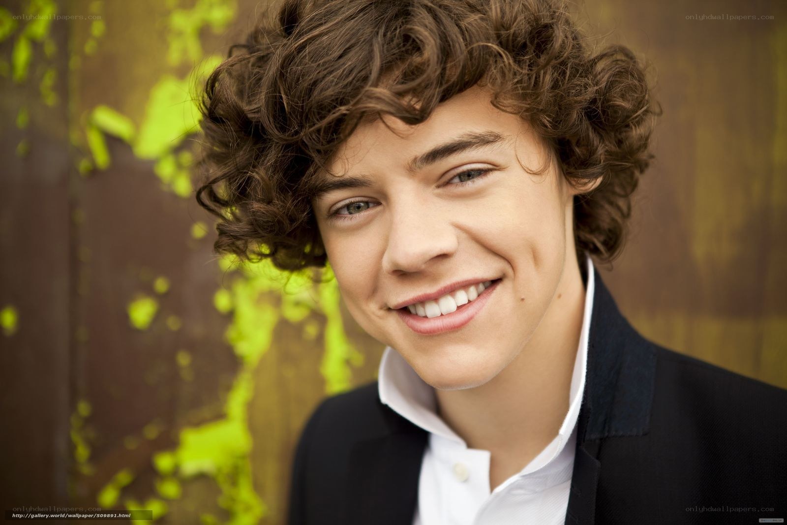 Harry Styles smiling portrait