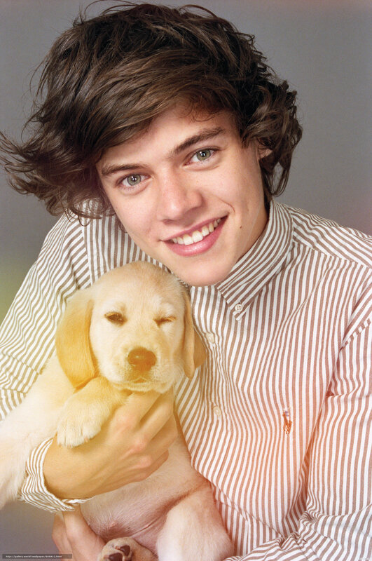 Harry Styles with a puppy