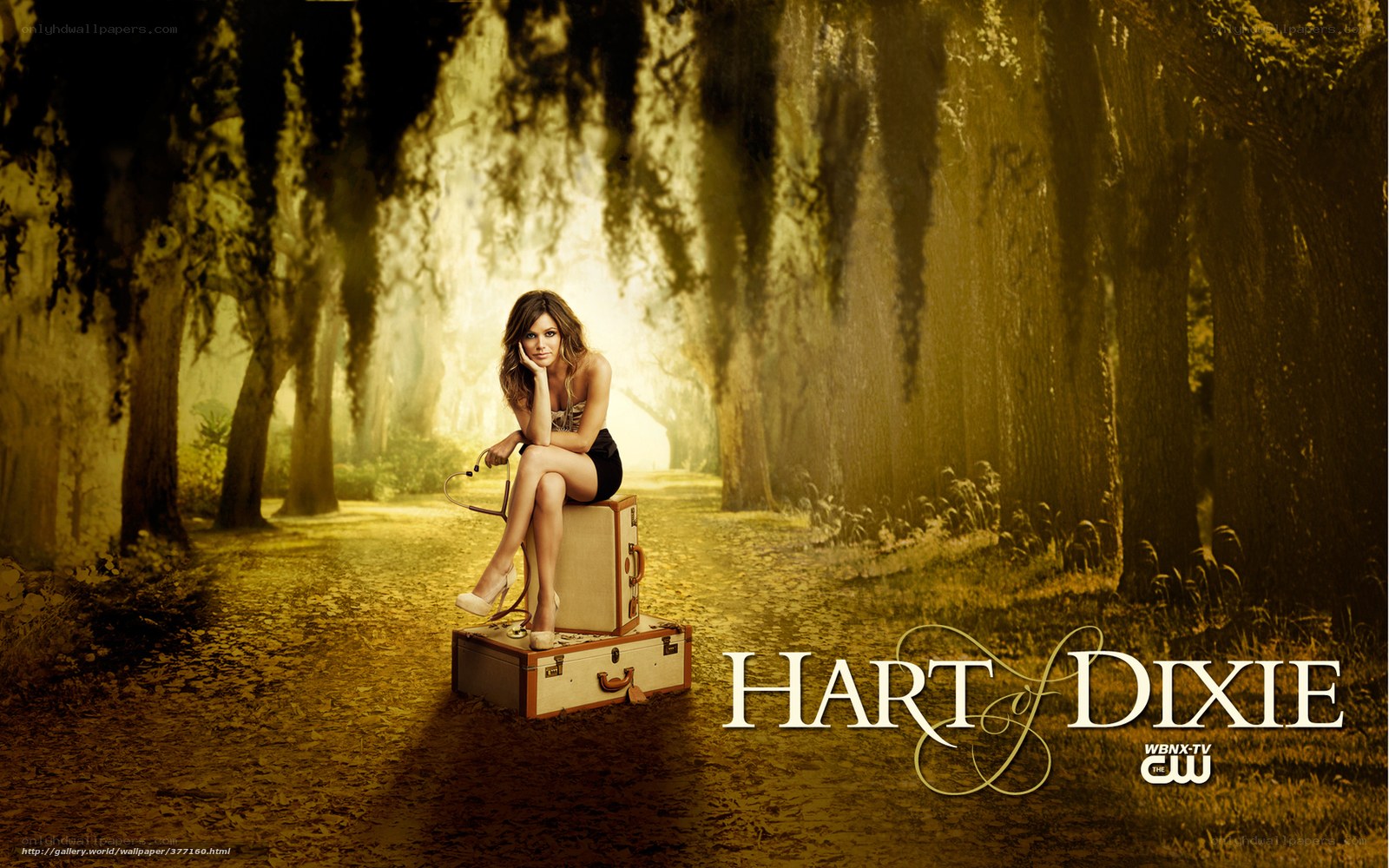 Hart of Dixie promotional image