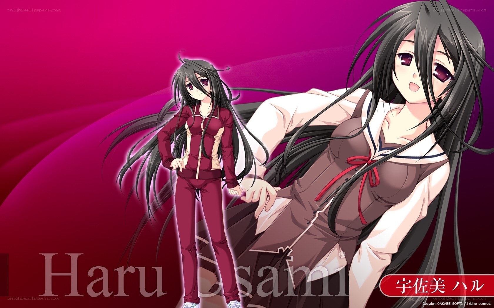 Haru Osami character art