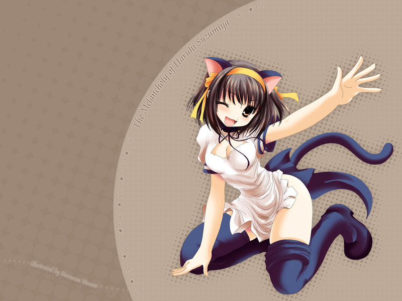 Haruhi Suzumiya in cat ears