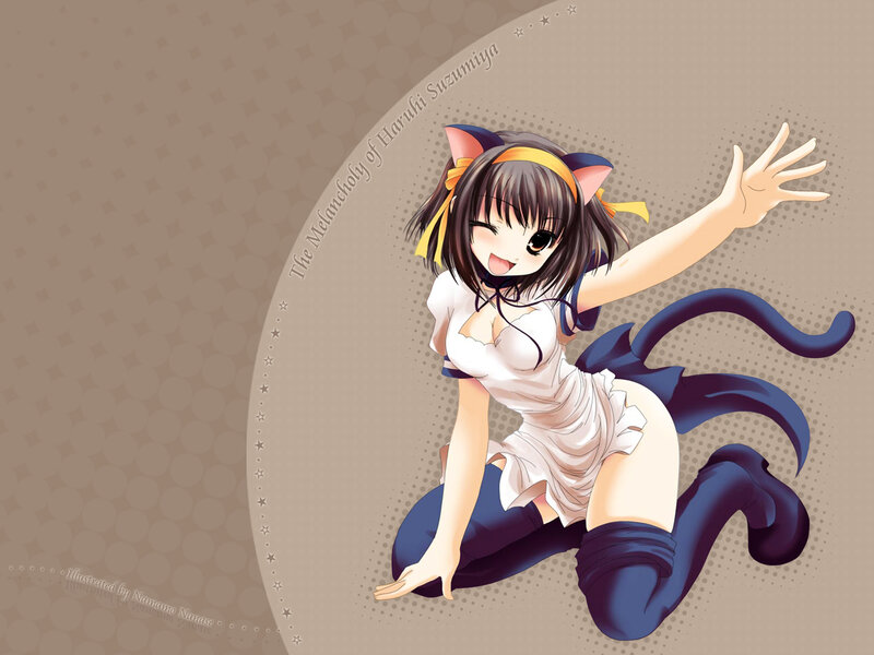 Haruhi Suzumiya in cat ears