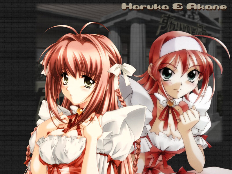 Haruka and Akane characters