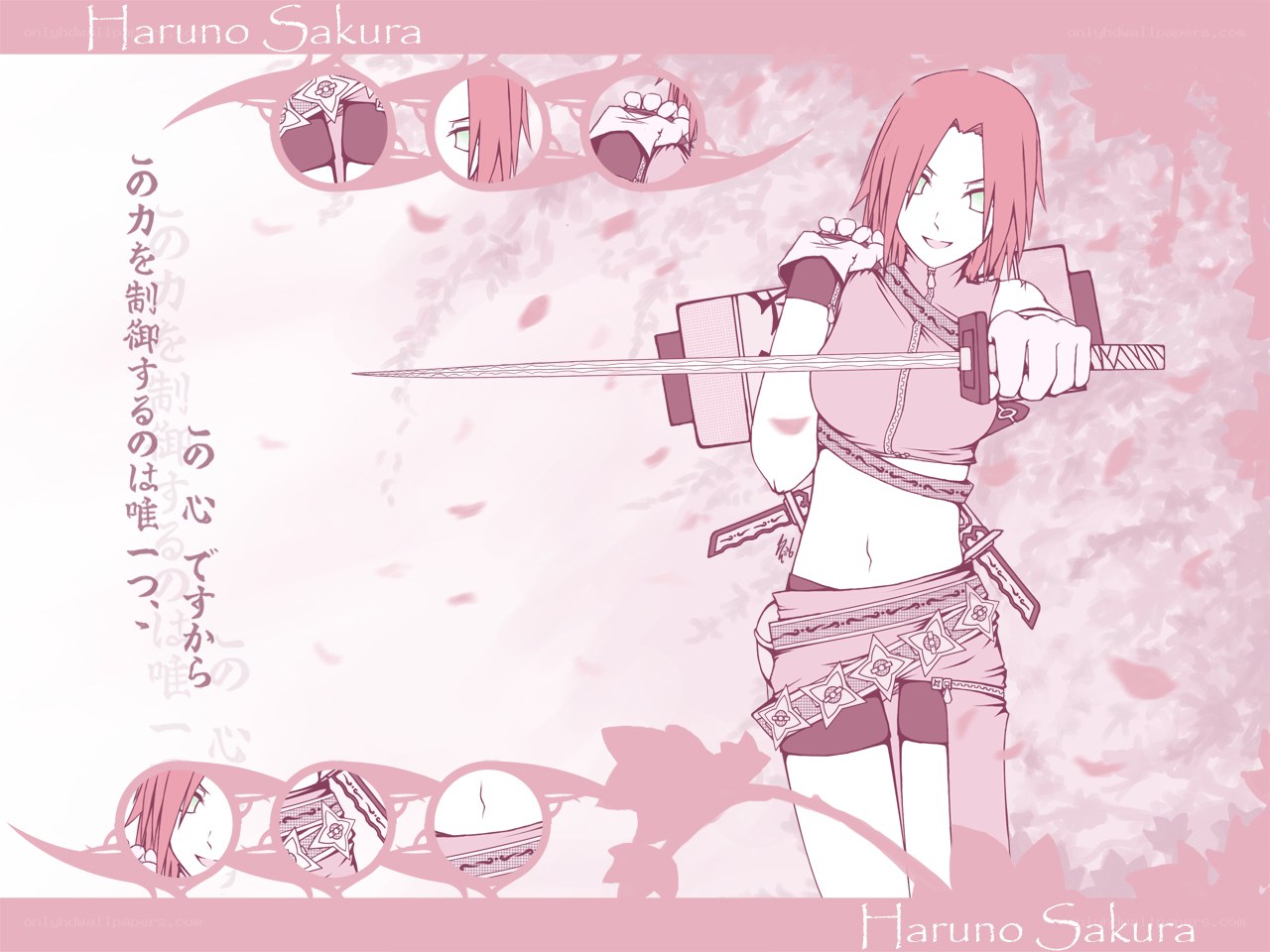 Haruno Sakura character art