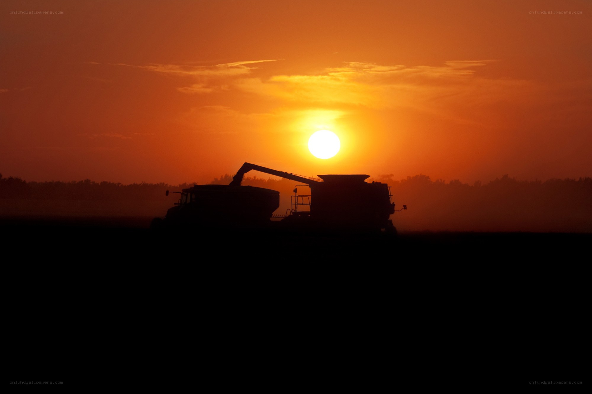 Harvest at sunset