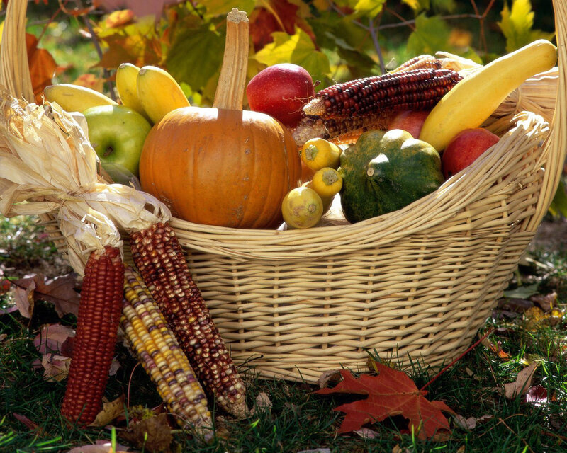 Harvest Basket with Produce — Orange