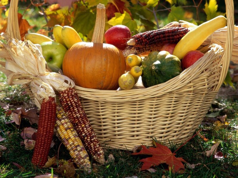 Harvest Basket with Produce