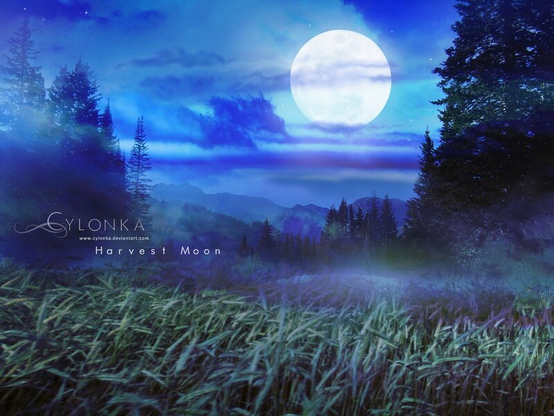 Harvest Moon over Field