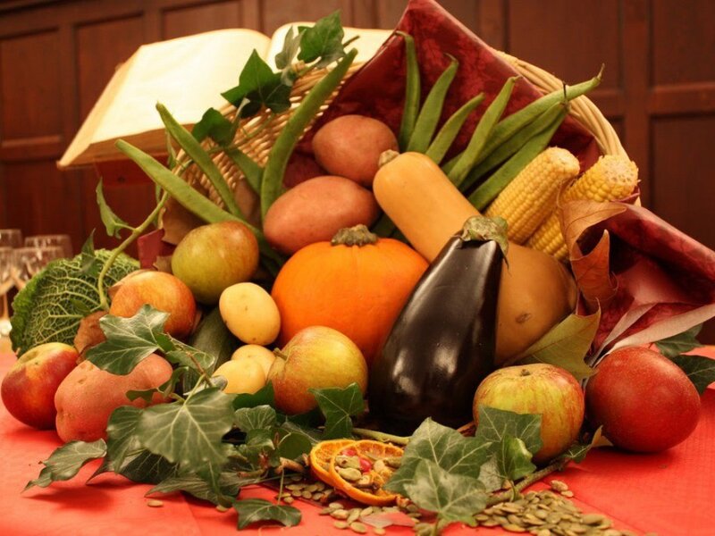 Harvest of fresh produce