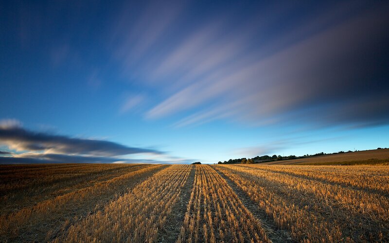 Harvested Field at Dusk