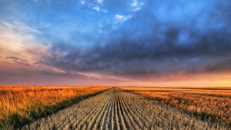 Harvested Field at Sunset — Blue