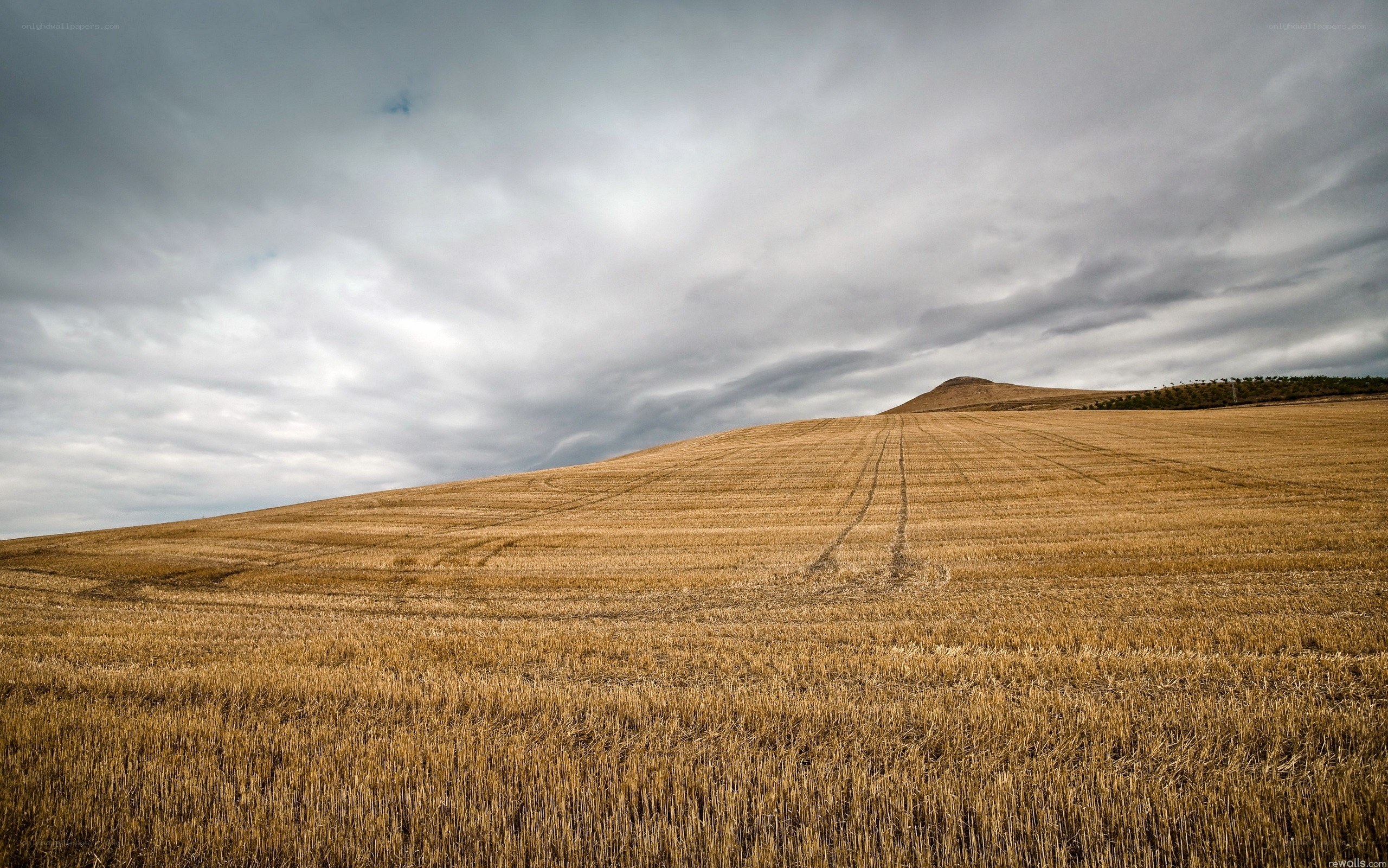 Harvested field under cloudy sky
