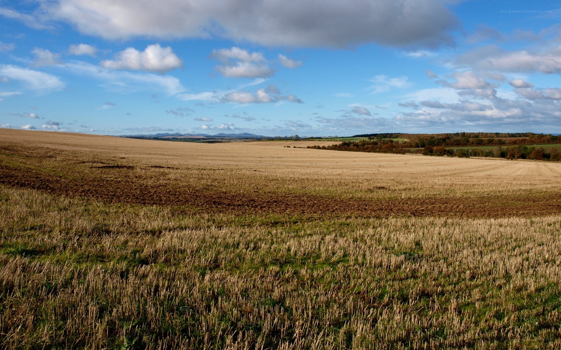 Harvested field under cloudy sky