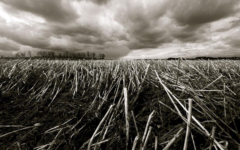 Harvested field under stormy sky