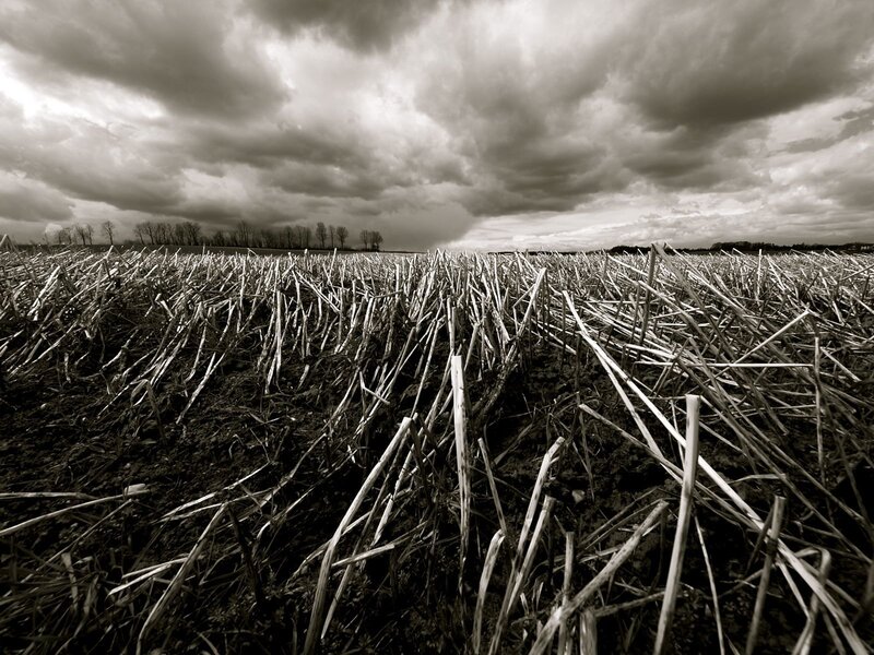 Harvested field under stormy sky
