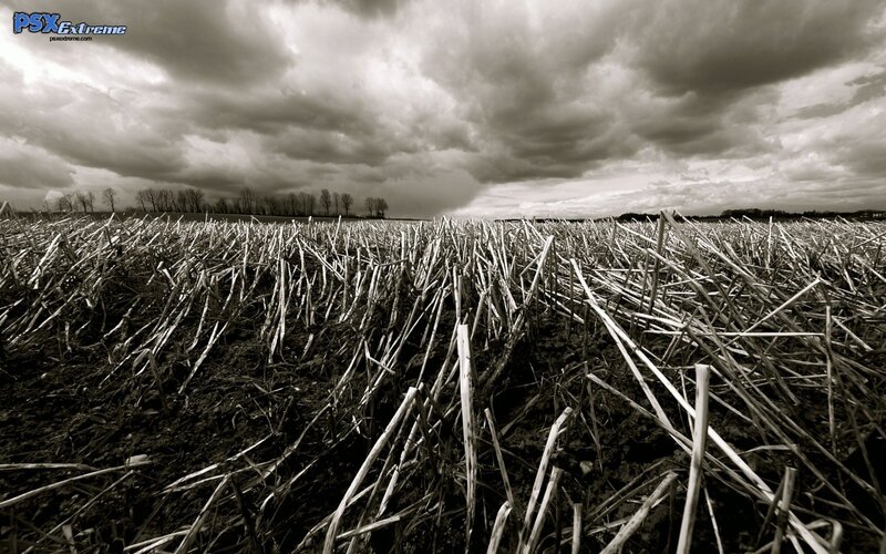 Harvested field under stormy sky