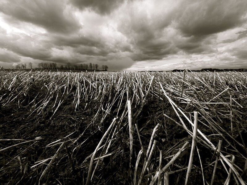 Harvested Field under Stormy Sky — Black, Dramatic, Afternoon, Photograph