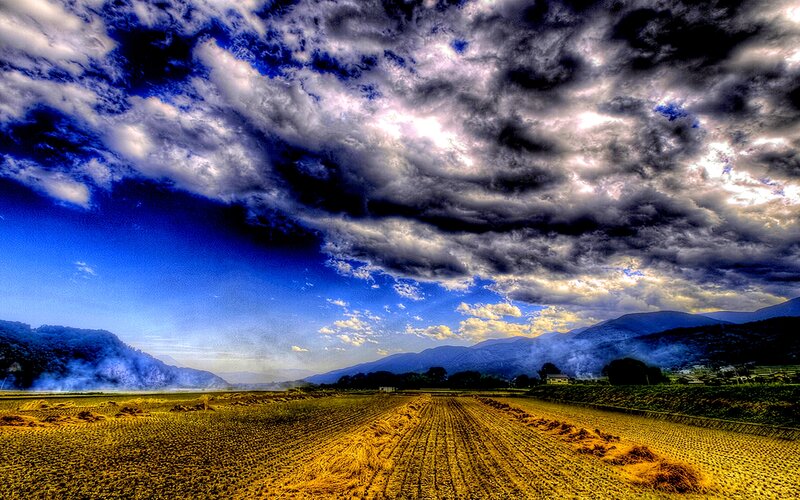 Harvested Field under Stormy Sky — Blue