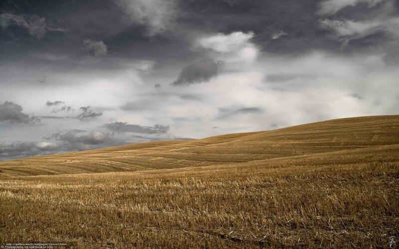 Harvested Field under Stormy Sky — Brown