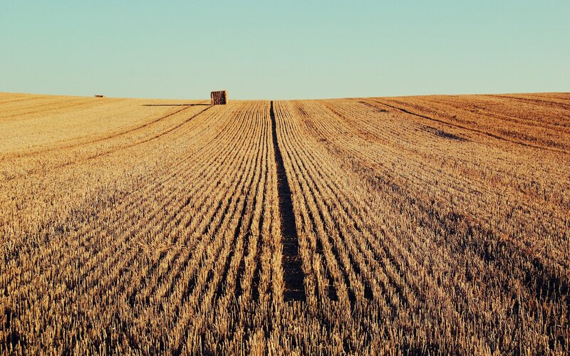 Harvested field with hay bale