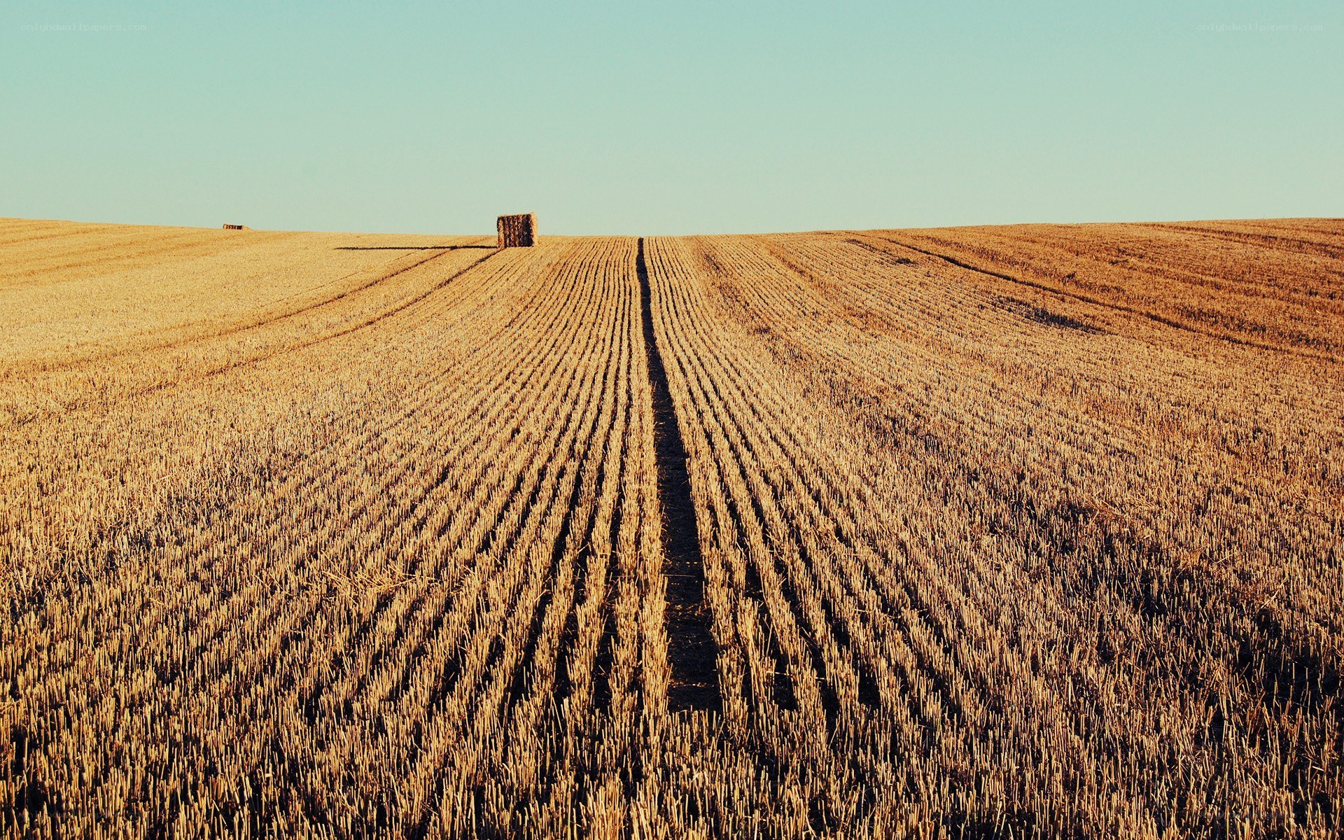 Harvested field with hay bale