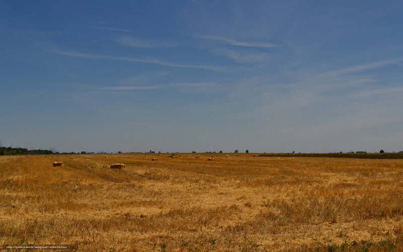 Harvested Field with Hay Bales — Blue, Serene
