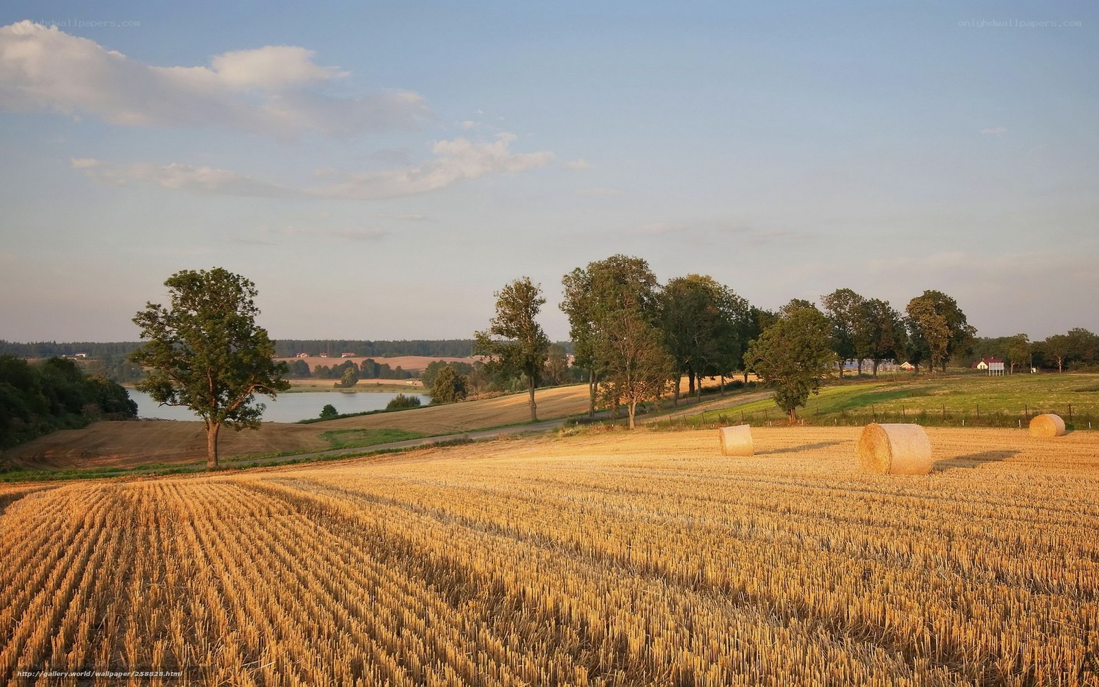 Harvested field with hay bales
