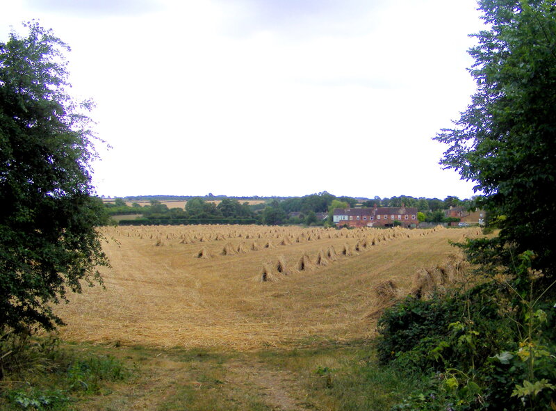 Harvested field with haystacks