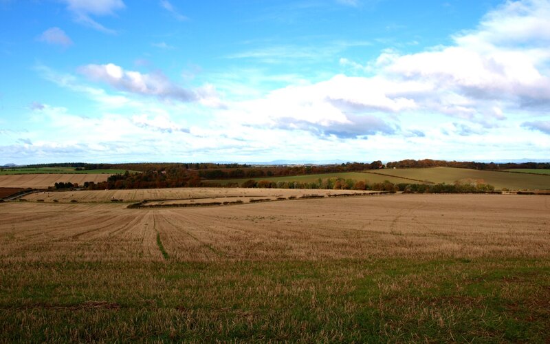 Harvested Fields Landscape
