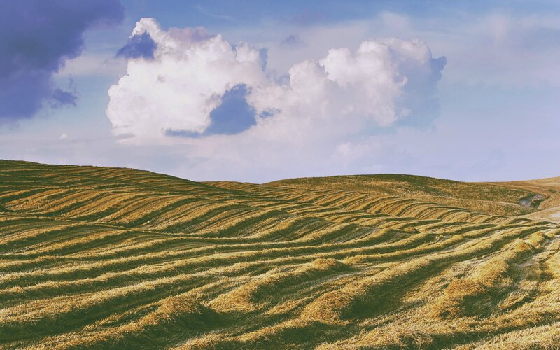Harvested Fields on Hills