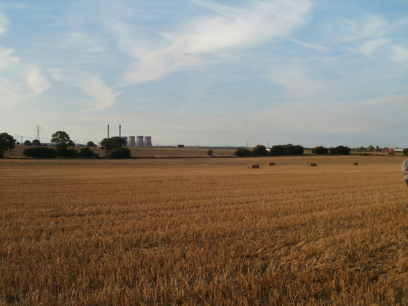 Harvested Wheat Field — Brown