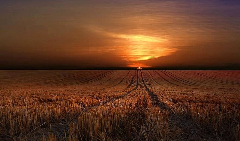 Harvested Wheat Field — Orange, Dramatic, Sunset