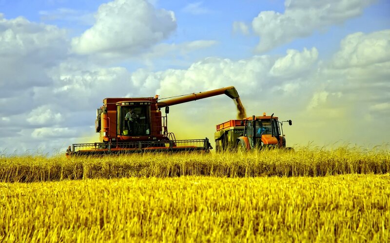 Harvester Transferring Grain
