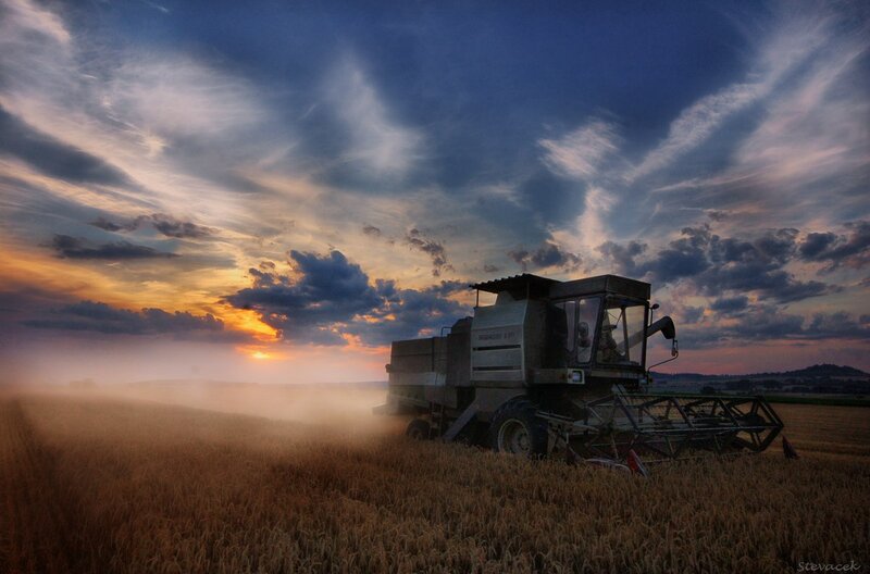 Harvesting at sunset