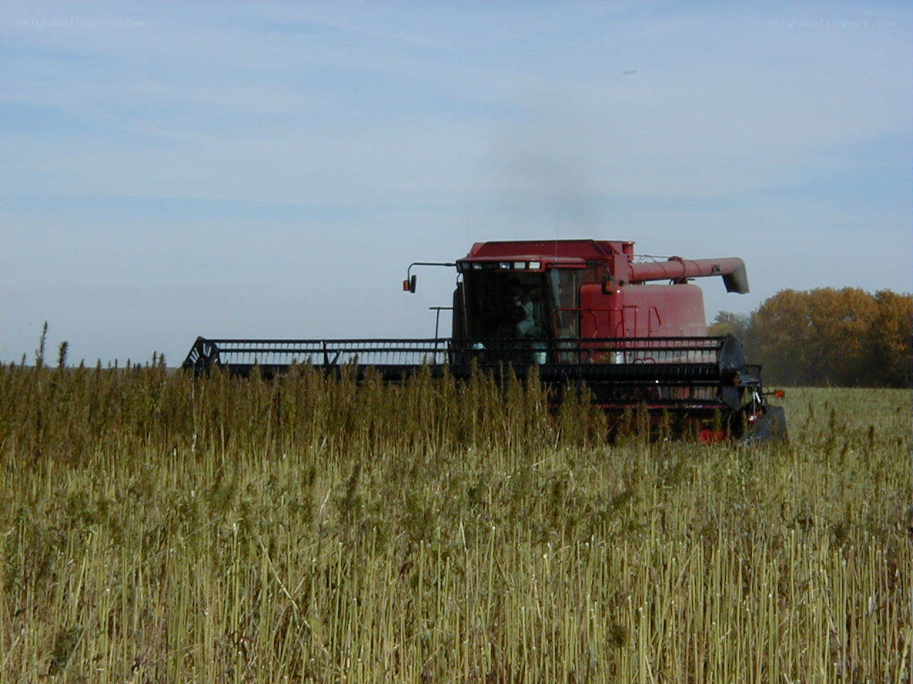 Harvesting in a field