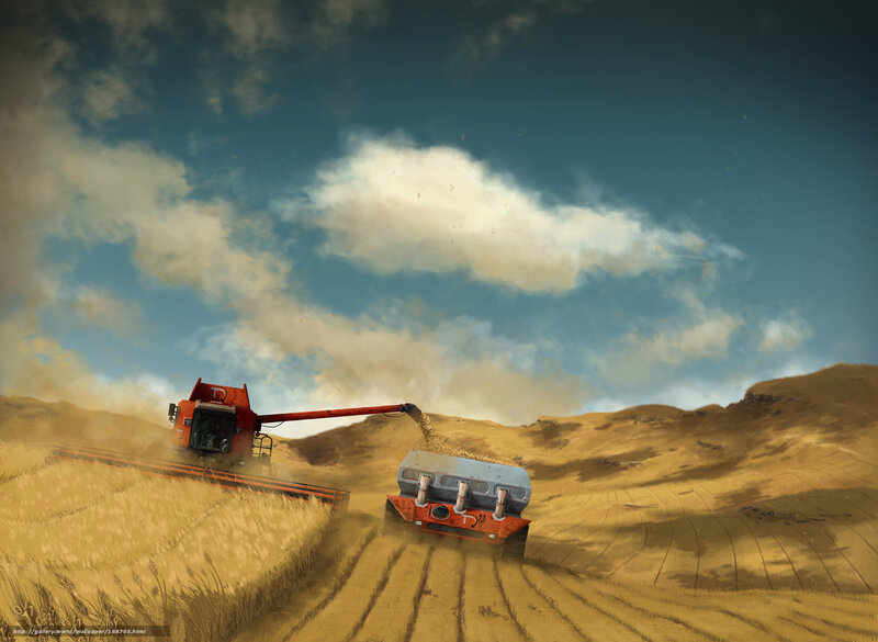 Harvesting in the golden field