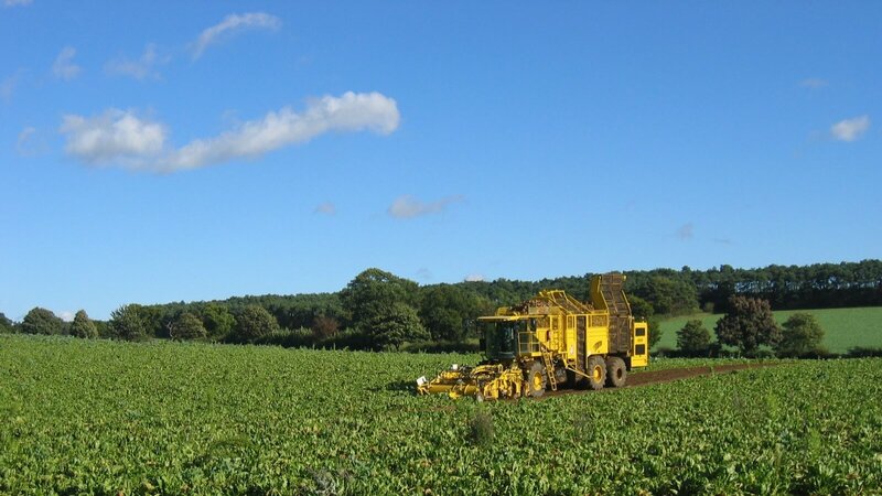 Harvesting machine in a field