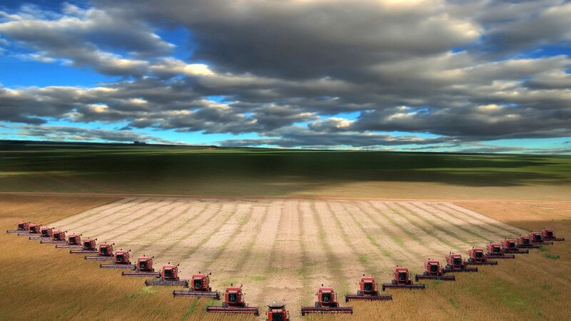 Harvesting machines in a field