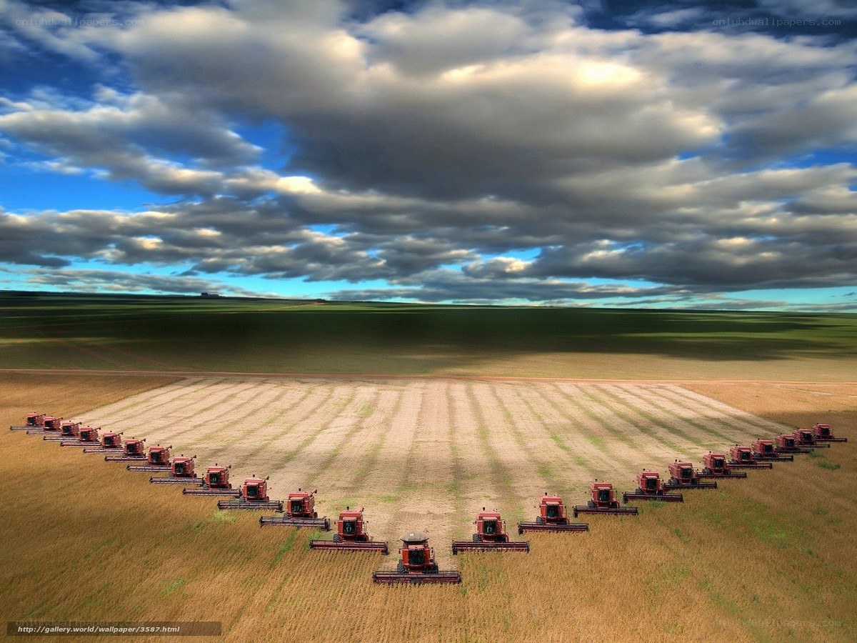 Harvesting machines in a field