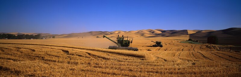 Harvesting Machines in Field — Blue