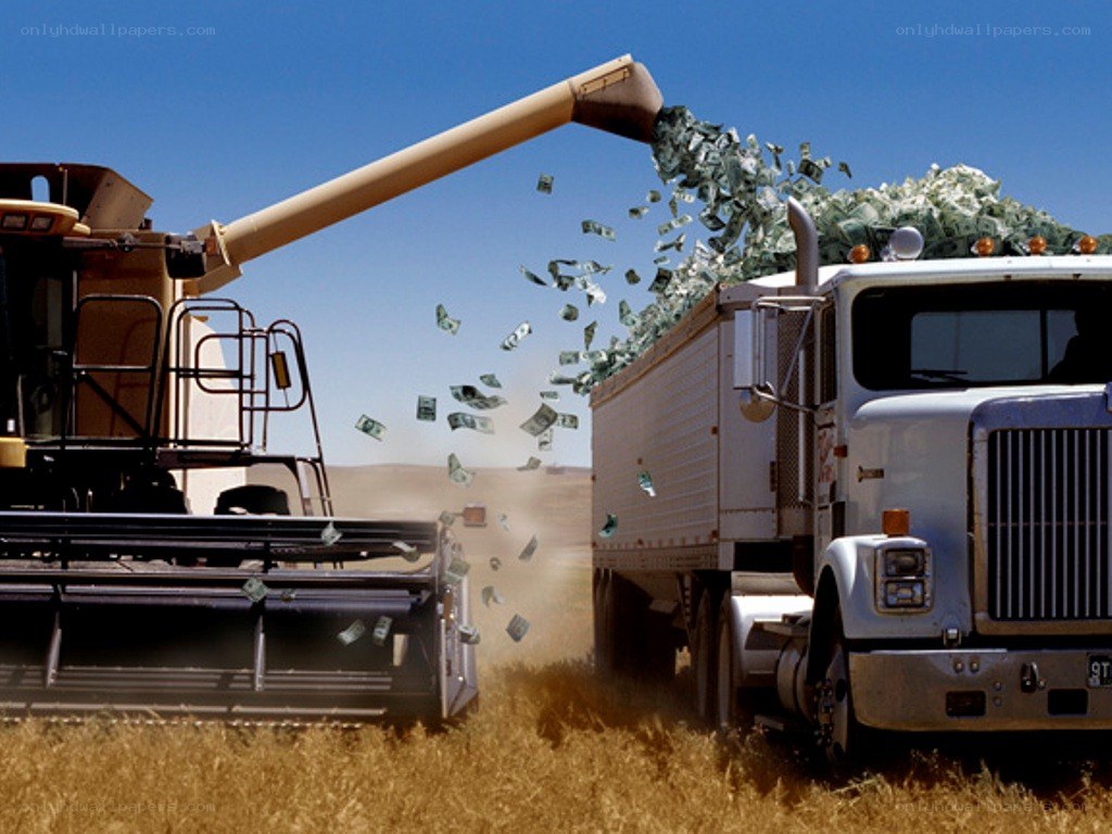 Harvesting money in a field