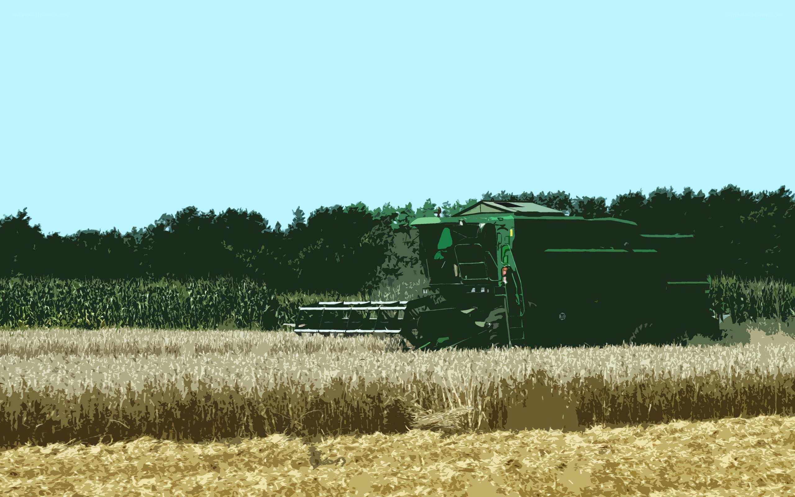 Harvesting wheat in a field