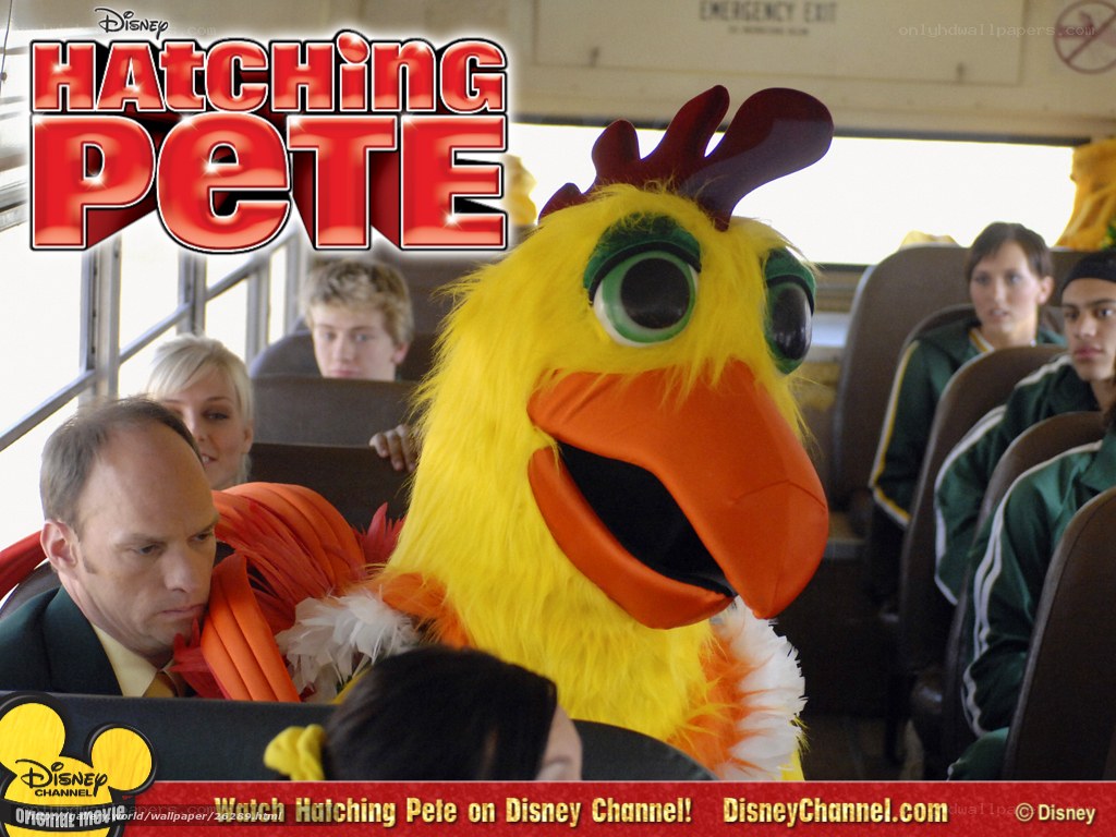 Hatching Pete movie scene