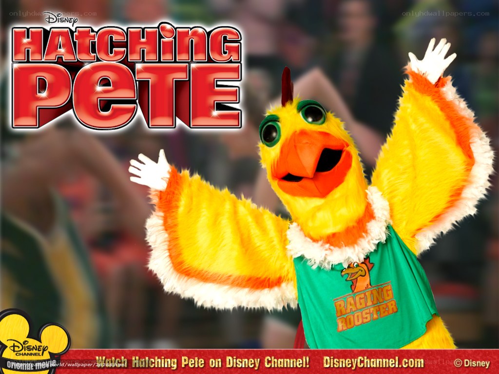 Hatching Pete promotional image