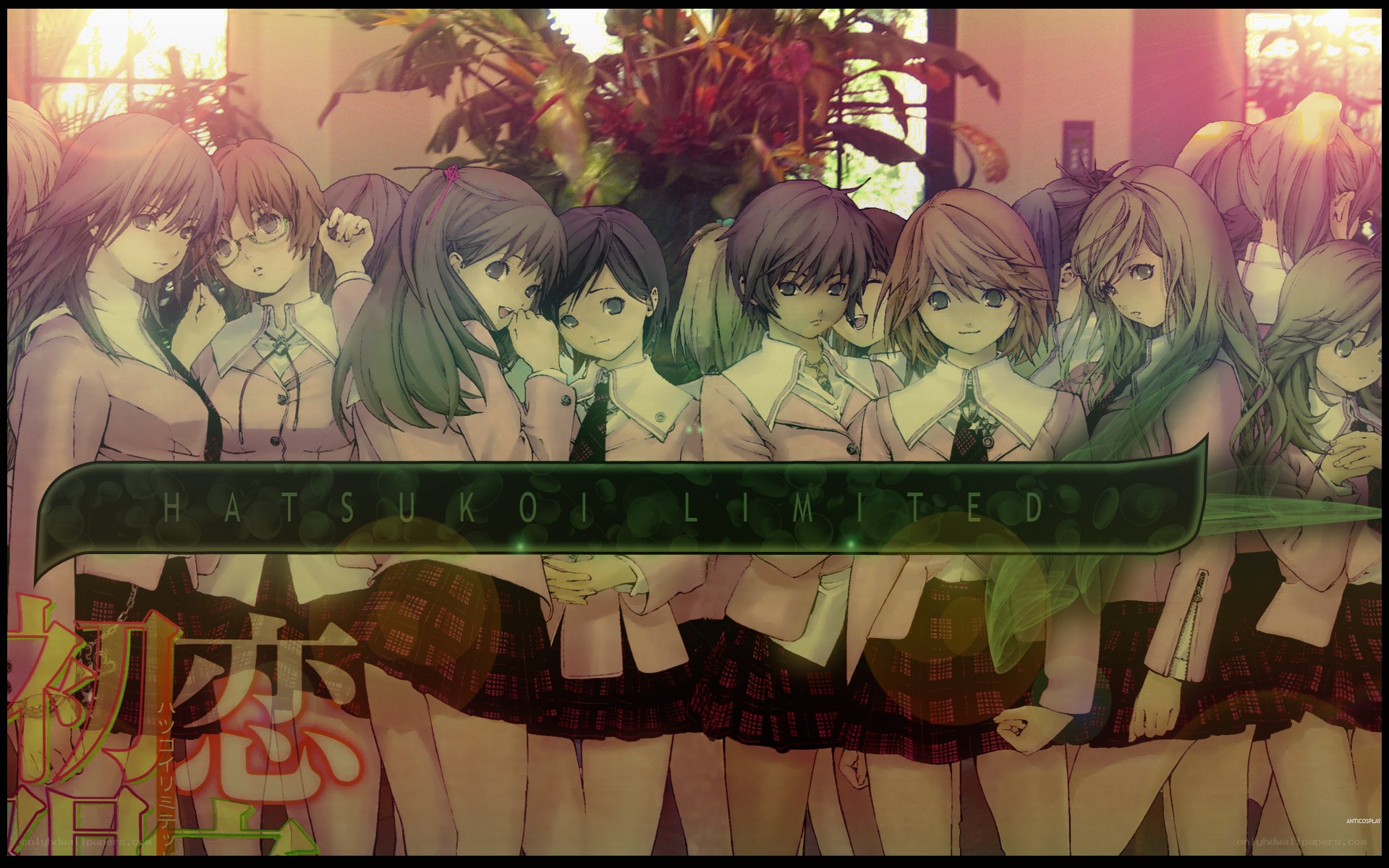 Hatsukoi Limited group