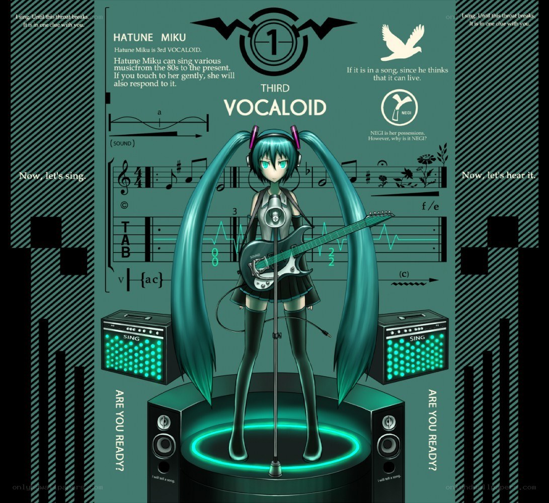 Hatune Miku Vocaloid Character