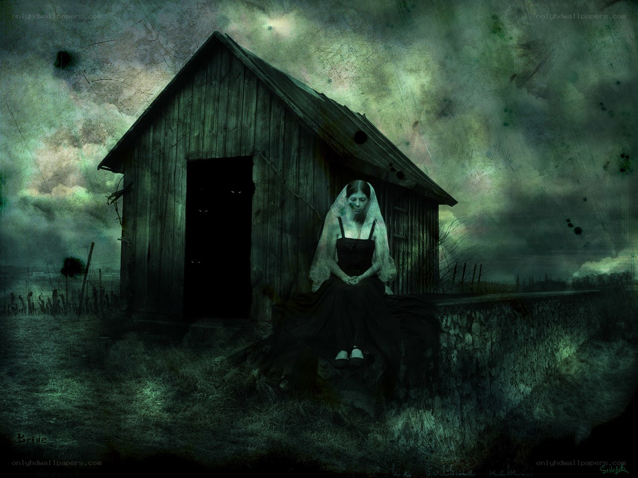 haunted bride in a dark field